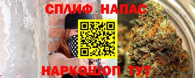 дмт Новодвинск